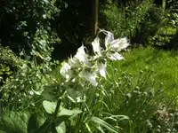 BILD5262.webp