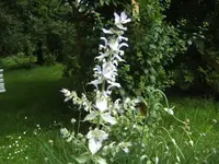 BILD5295.webp