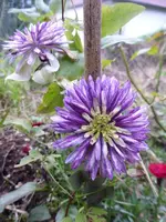 P1190880.webp