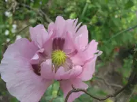 001.webp