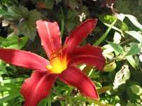 011.webp