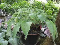 003_1024x768.webp