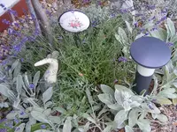 Rosengarten.webp