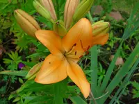 DSCI4139.webp