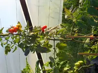 DSCF7538.webp