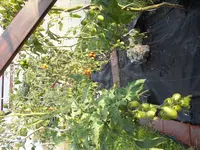 DSCF7540.jpg