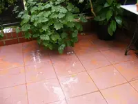 Regen.jpg