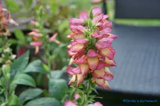 comp_DSC05383.webp