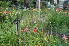 comp_DSC05388.webp