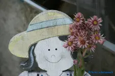 comp_DSC05393.webp