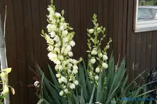 comp_DSC05398.webp