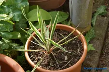 comp_DSC05399.webp