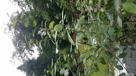 20160709_120730.webp