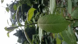 20160709_120747.webp