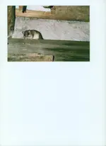 Bild.webp
