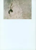 Bild (2).webp