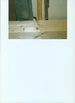 Bild (4).webp