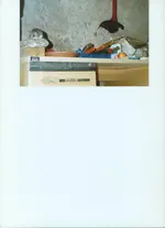 Bild (6).webp