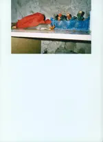 Bild (8).webp