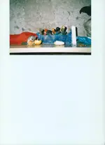 Bild (9).webp