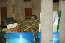 comp_DSC05403.webp