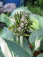 012_576x768.webp