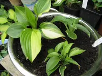 010_1024x768.webp