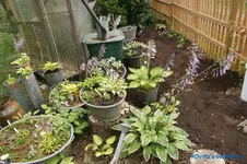 comp_DSC05408.webp