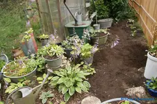 comp_DSC05409.webp