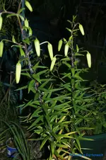 comp_DSC05412.webp