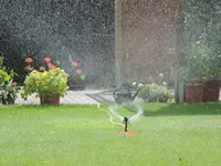 DSCN6631.webp