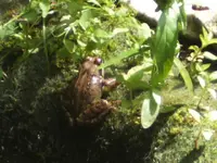 BILD5324.webp