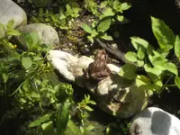 BILD5325.webp