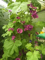 BILD5292.webp