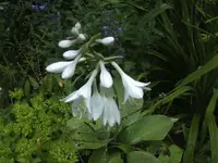 BILD5277.webp