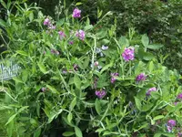 BILD5279.webp