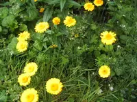BILD5293.webp