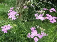 BILD5278.webp