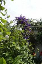 _DSC0688.webp