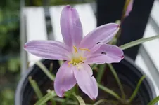 _DSC0702.webp