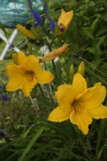 _DSC0712.webp