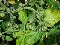 20160710_133108.webp