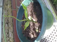 20160710_151909.webp