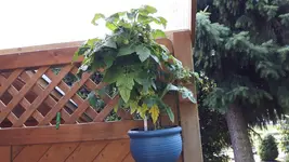 20160710_114043-1.jpg