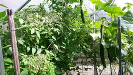 20160710_114004-1.webp