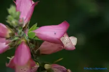 comp_DSC05425.webp