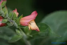 comp_DSC05426.webp