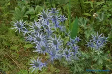 comp_DSC05420.webp