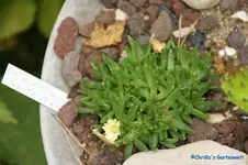 comp_DSC05419.webp