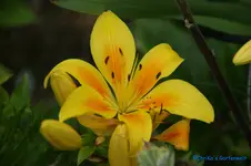 comp_DSC05423.webp